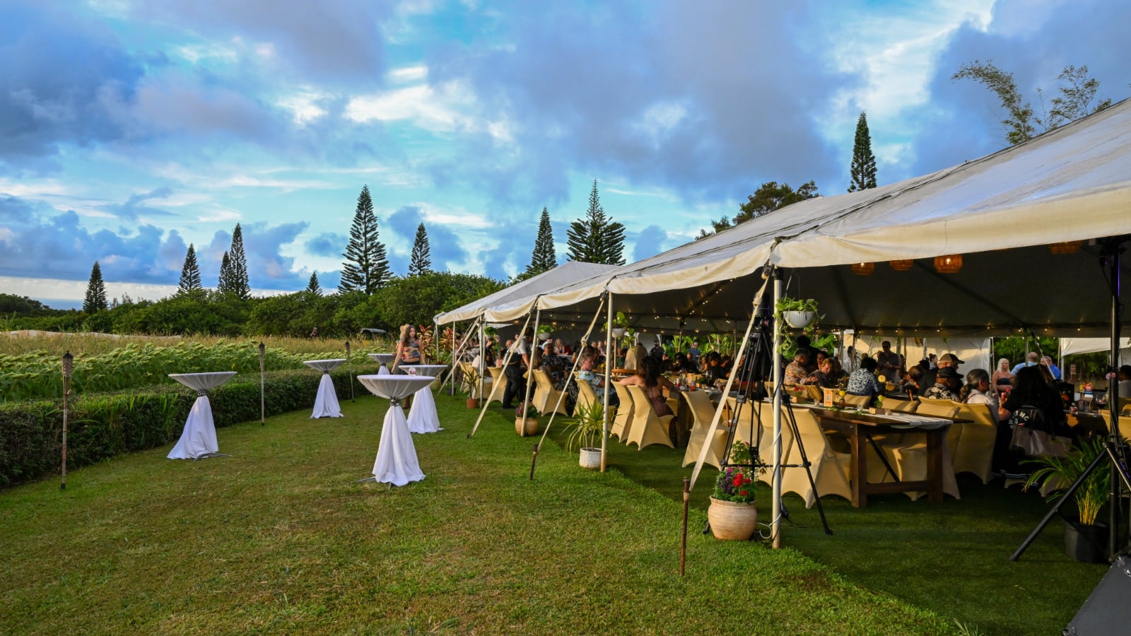 RISE Maui - August 17 & 22, 2026