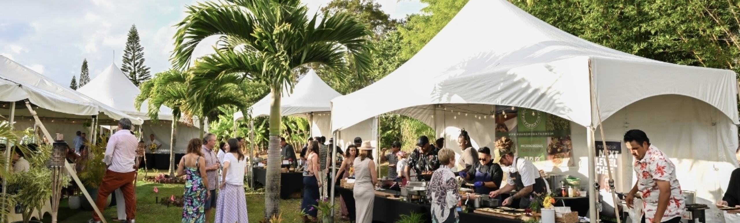 Rise Maui - Regeneration - Thursday - August 20, 2026